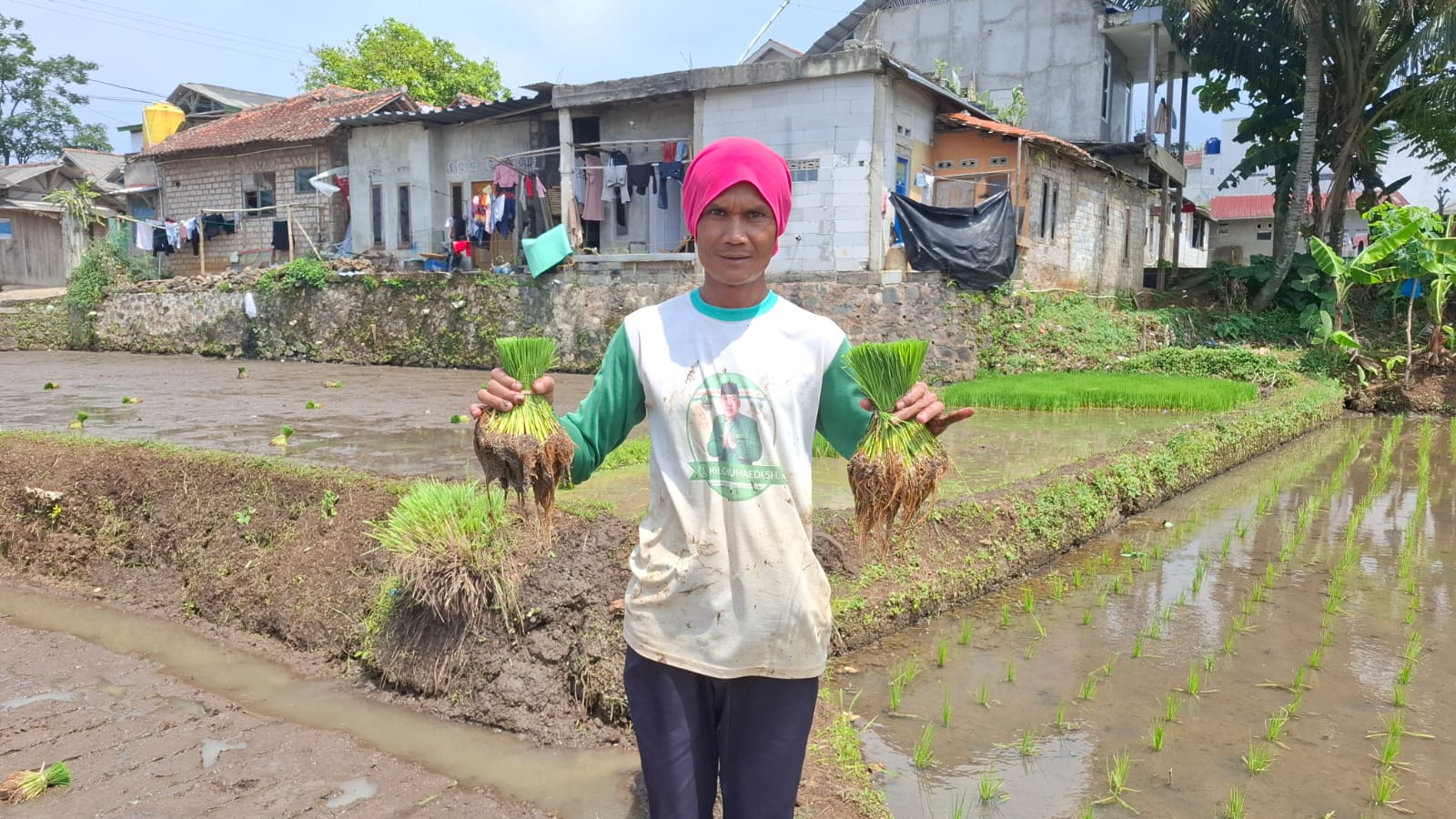 Menanam Amanah, Menuai Istikamah: Kisah Mang Dabik dari Sukawangi